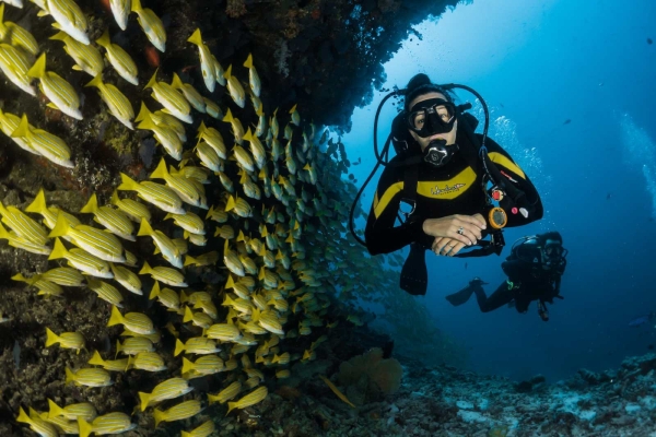 Diving